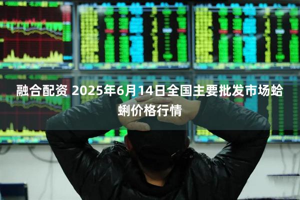 融合配资 2025年6月14日全国主要批发市场蛤蜊价格行情