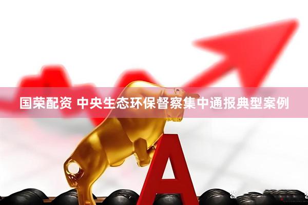国荣配资 中央生态环保督察集中通报典型案例