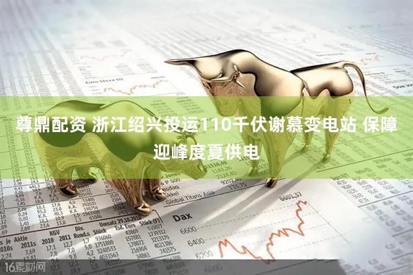尊鼎配资 浙江绍兴投运110千伏谢慕变电站 保障迎峰度夏供电