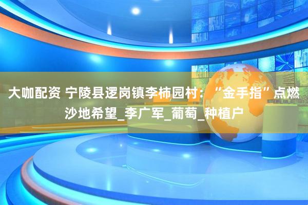 大咖配资 宁陵县逻岗镇李柿园村：“金手指”点燃沙地希望_李广军_葡萄_种植户