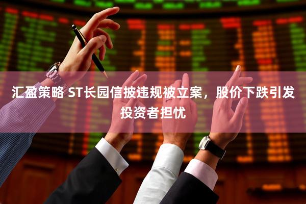 汇盈策略 ST长园信披违规被立案，股价下跌引发投资者担忧