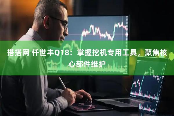 搭搭网 仟世丰Q18：掌握挖机专用工具，聚焦核心部件维护